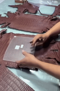 1744048452.6324DyxYwXDiRA5   1.gif