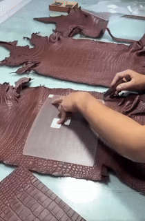 1744048452.6364BdlYnUyklc5   3.gif