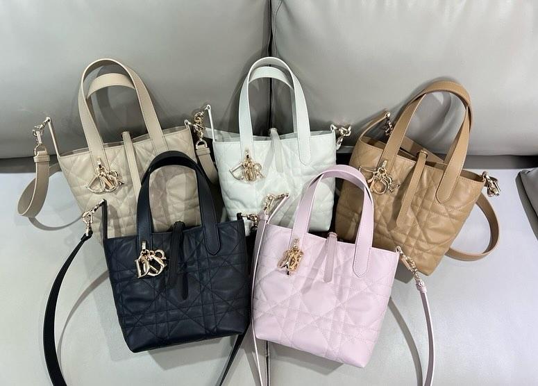 디올 뚜주흐 버티컬백 (3colors)